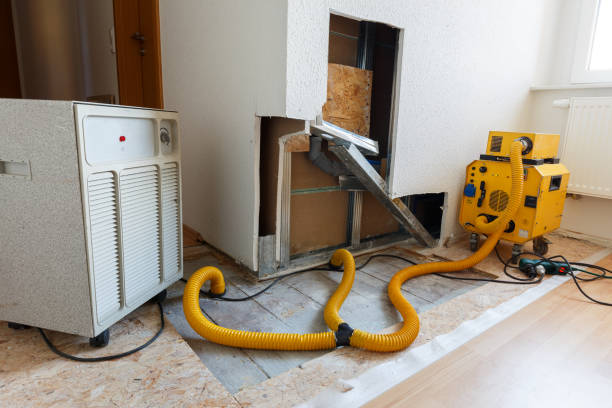 Best Residential Mold Inspection & Testing  in Brillion, WI