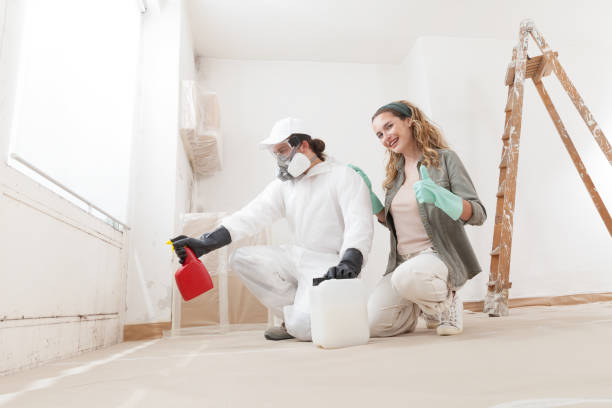 Best Environmental Consulting for Mold Prevention  in Brillion, WI